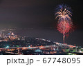 はじまりの花 67748095