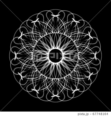 美しい十二角形　20200724_010m モノクロ 67748164