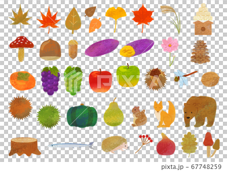 Autumn motif illustration material / analog style Autumn motif illustration material / analog style 67748259