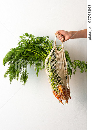 Farmer holds carrot with green leaves 67748643