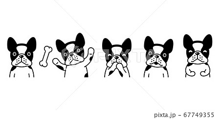 dog vector french bulldog icon bone pet puppy cartoon character symbol animal doodle illustration design 67749355