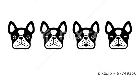 dog vector french bulldog icon face head pet puppy cartoon character symbol animal doodle illustration design 67749356