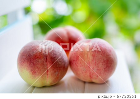 桃　物撮り 67750551