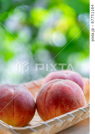 桃　物撮り 67751164