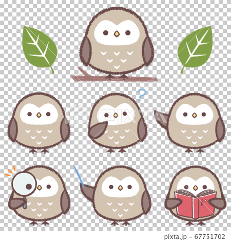 フクロウセット 67751702