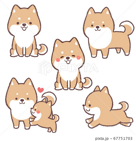 柴犬セットのイラスト素材