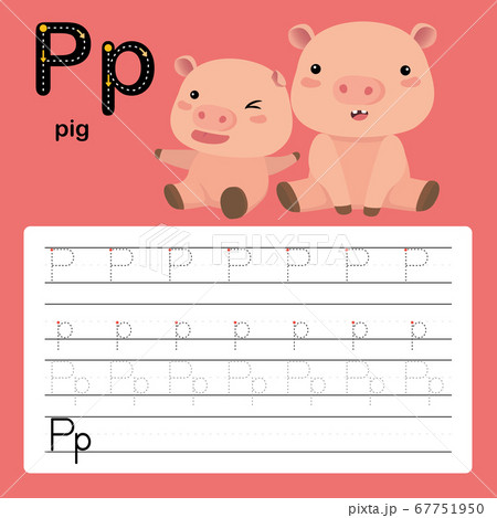 P, pig, Alphabet tracing worksheet for preschool and kindergarten to improve basic writing skills, vector, illustration  67751950
