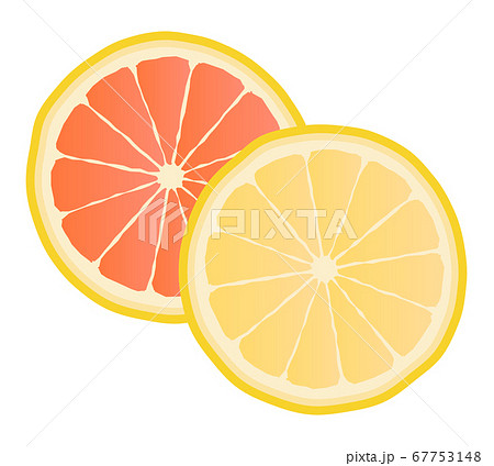 グレープフルーツの断面 67753148
