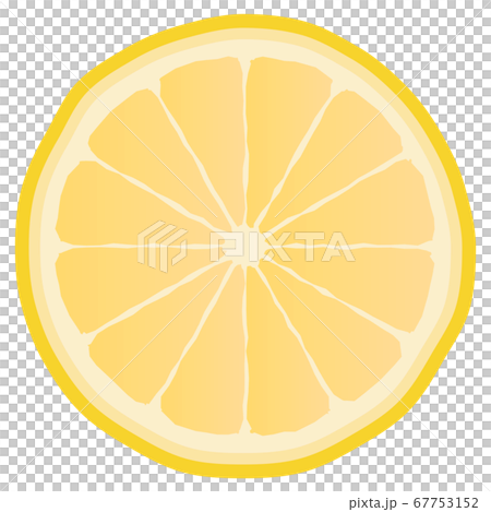 Cross section of grapefruit - Stock Illustration [67753152] - PIXTA