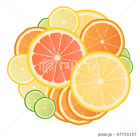柑橘系の果物スライスのイラスト素材