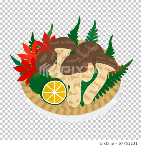 秋天的味道,松茸蘑菇插圖素材 秋天的味道,松茸蘑菇插圖素材 67753231