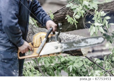 Man in uniform sawing a tree with a chainsaw 67753453