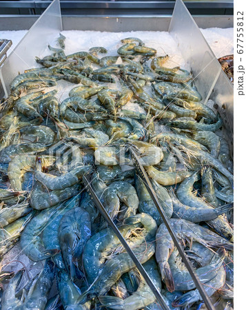 Frozen shrimps or prawns for sale at the seafood store Frozen shrimps or prawns for sale at the seafood store 67755812
