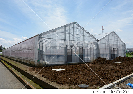 新設されたビニールハウス 67756055