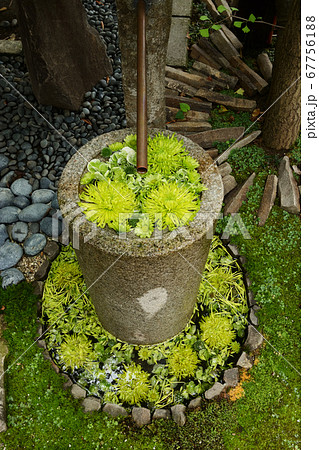 花水琴窟 67756188