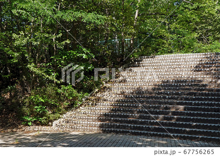 小幡緑地公園点景 67756265