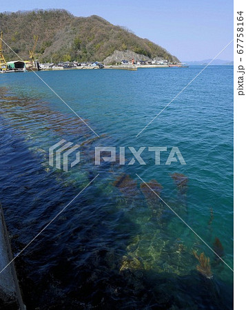 木江湾　（広島県大崎上島　木江港付近） 67758164