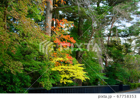 角館　武家屋敷周辺の景観 67758353