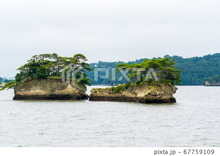 日本三景松島の風景 双子島(鯨島・亀島) 宮城県松島町 日本三景松島の風景 双子島(鯨島・亀島) 宮城県松島町 67759109
