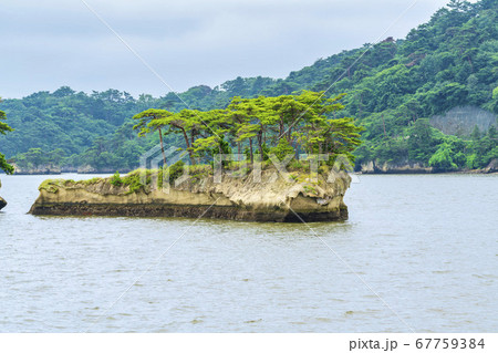 日本三景松島の風景　鯨島（双子島）　宮城県松島町 67759384