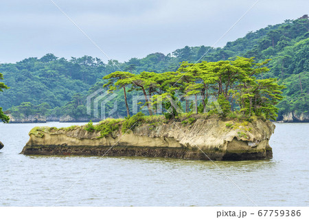 日本三景松島の風景　鯨島（双子島）　宮城県松島町 67759386