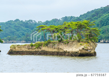 日本三景松島の風景　鯨島（双子島）　宮城県松島町 67759387