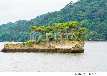日本三景松島の風景　鯨島（双子島）　宮城県松島町 67759389