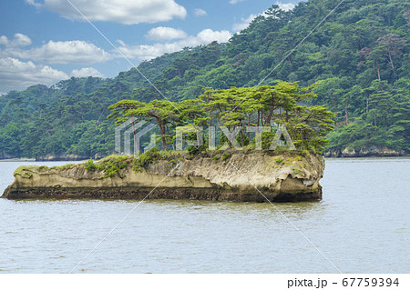 日本三景松島の風景　鯨島（双子島）　宮城県松島町 67759394
