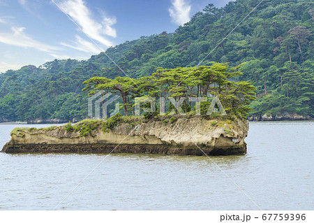 日本三景松島の風景　鯨島（双子島）　宮城県松島町 67759396