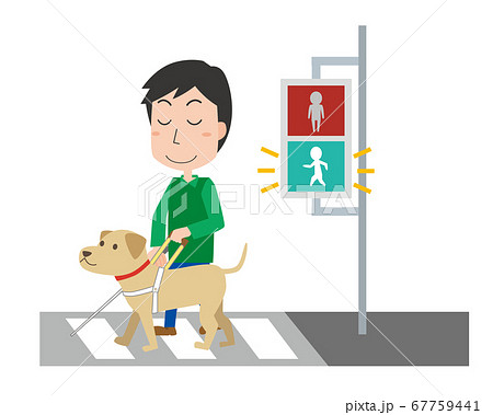 横断歩道を渡る視覚障がい者と盲導犬のイラスト素材
