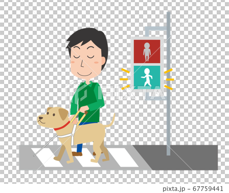 横断歩道を渡る視覚障がい者と盲導犬のイラスト素材