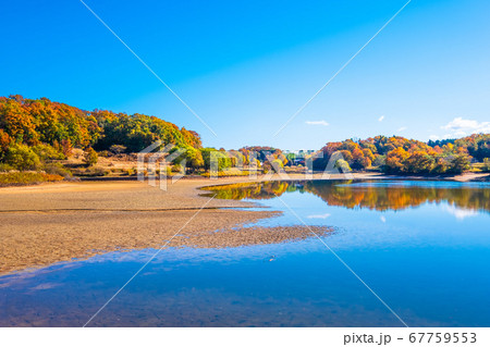 有馬富士公園の紅葉 67759553