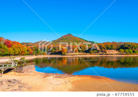 有馬富士公園の紅葉 67759555