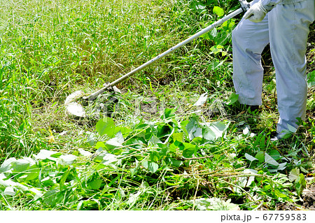 伸びた雑草を次々と刈る風景素材 67759583