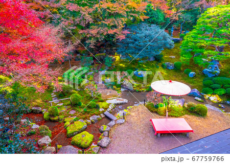 紅葉の旧竹林院と野点傘 67759766