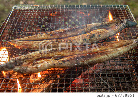 土用の丑はチャンプでウナギかば焼き 67759951