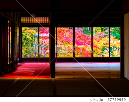 京都南禅寺 天授庵の紅葉 67759959