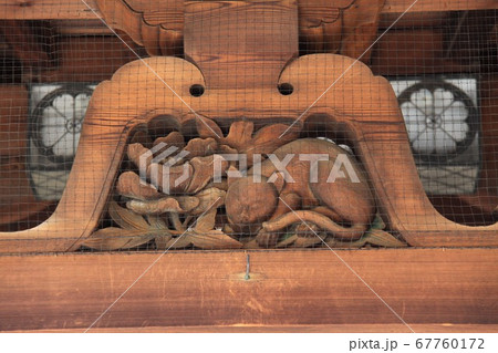 大阪四天王寺聖霊院の猫 67760172