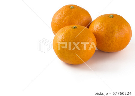 完熟温州みかん 完熟温州みかん 67760224