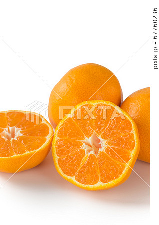 完熟温州みかん 完熟温州みかん 67760236