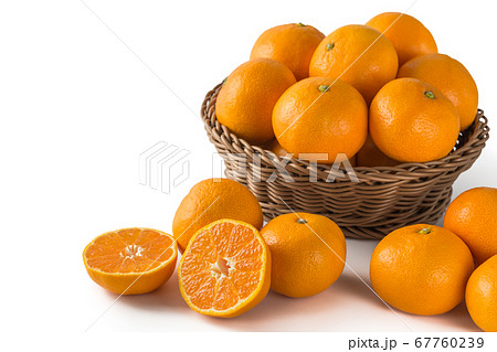 完熟温州みかん 完熟温州みかん 67760239