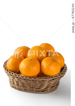 完熟温州みかん 完熟温州みかん 67760240