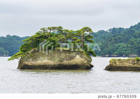 日本三景松島の風景　亀島（双子島）　宮城県松島町 67760309