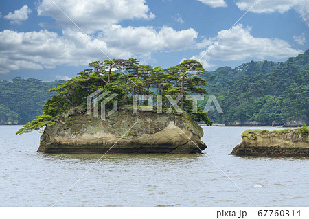 日本三景松島の風景　亀島（双子島）　宮城県松島町 67760314