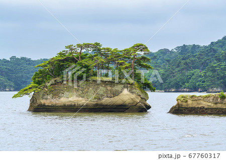 日本三景松島の風景　亀島（双子島）　宮城県松島町 67760317
