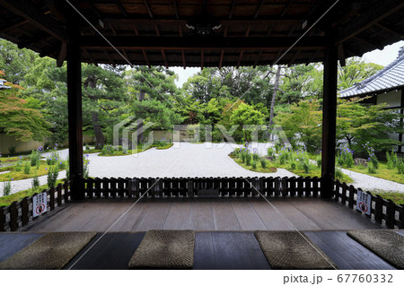 廬山寺　庭園に咲く満開の桔梗の花々 67760332