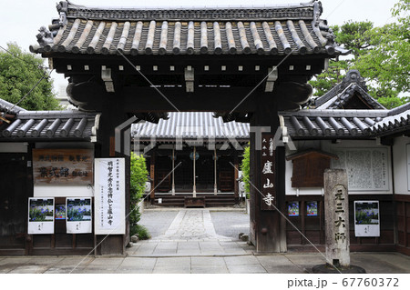 廬山寺 庭園に咲く満開の桔梗の花々 廬山寺 庭園に咲く満開の桔梗の花々 67760372