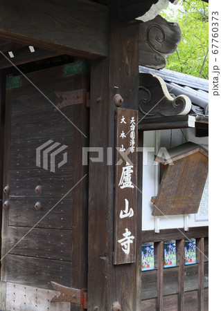 廬山寺 庭園に咲く満開の桔梗の花々 廬山寺 庭園に咲く満開の桔梗の花々 67760373