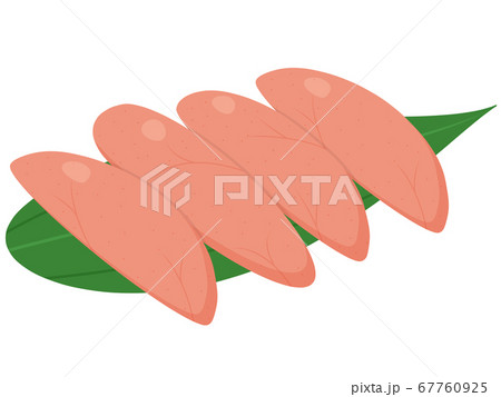 タラコのイラスト素材