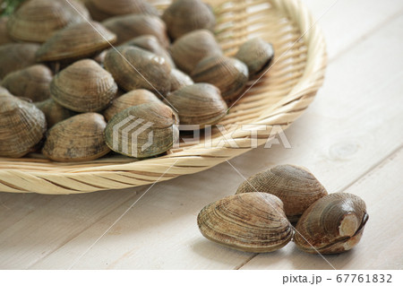 アサリ(2) アサリ(2) 67761832